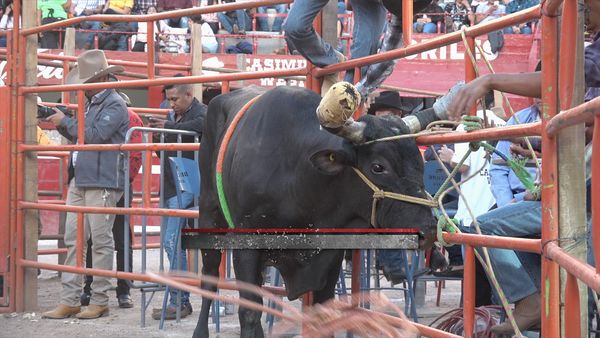La Liga Mexicana de Jaripeo Profesional - Fecha 8