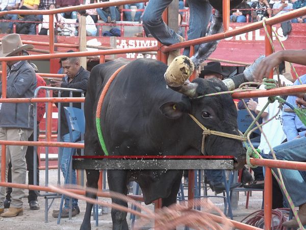 La Liga Mexicana de Jaripeo Profesional - Fecha 8