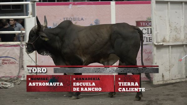La Liga Mexicana de Jaripeo Profesional - Fecha 11
