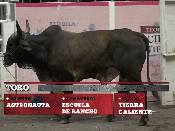 La Liga Mexicana de Jaripeo Profesional - Fecha 11