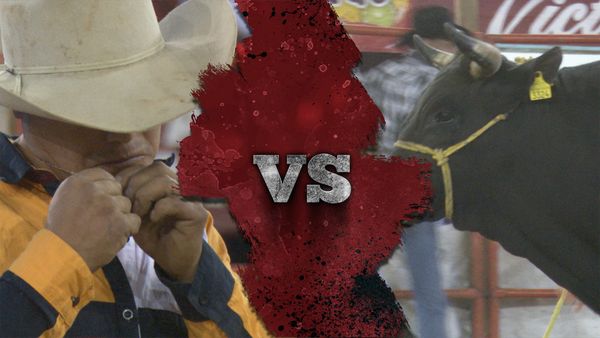 La Liga Mexicana de Jaripeo Profesional - Fecha 10