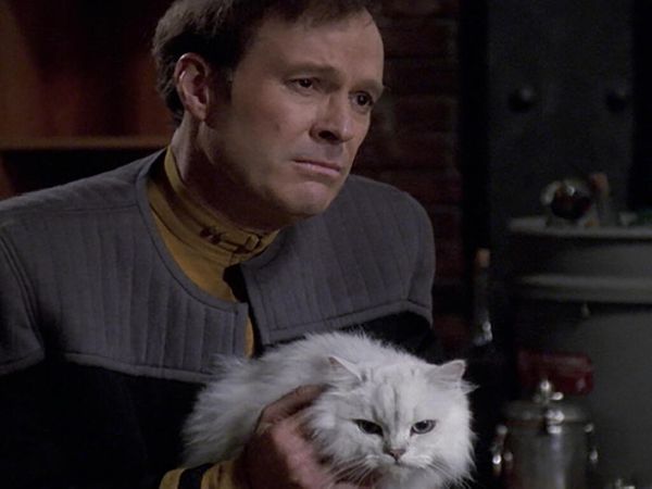 Star Trek: Voyager - Pathfinder