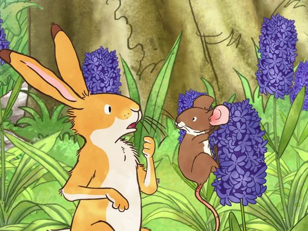 Guess How Much I Love You - The Scents Of Spring