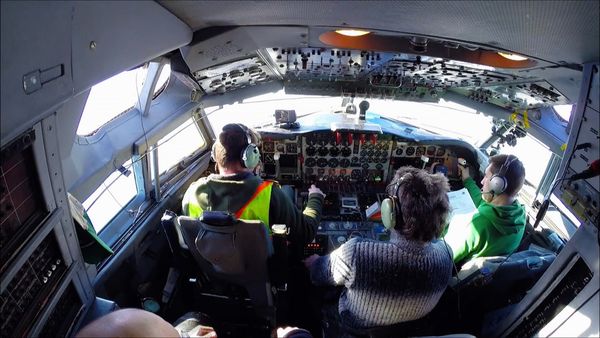 Pilotos Del Ártico - Perros Viejos