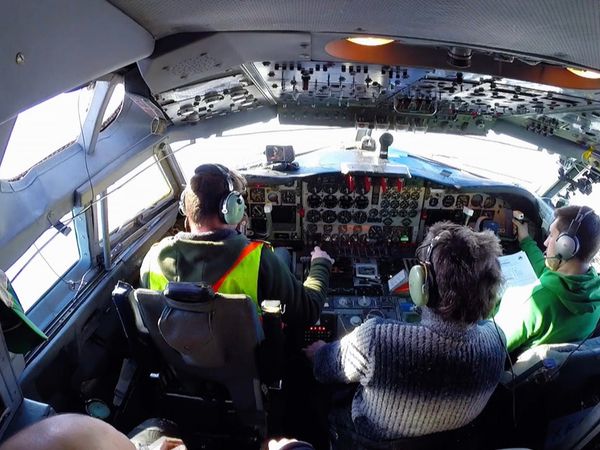 Pilotos Del Ártico - Perros Viejos