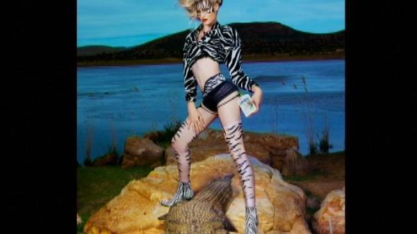 America's Next Top Model - La chica que cazan las leonas