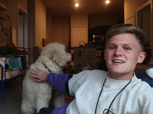 Ryan Trahan - I Rented a Dog for 24 Hours / I Copied James Charles