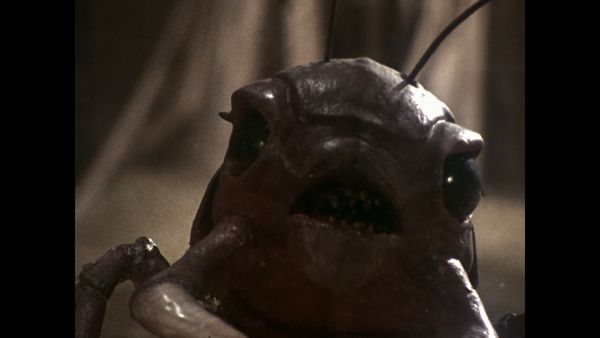 The Outer Limits - Sandkings Part 2