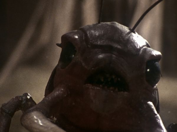 The Outer Limits - Sandkings Part 2