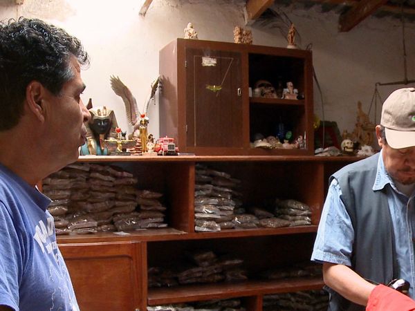 El Rayo Vida de Lucha - Pagando Factura