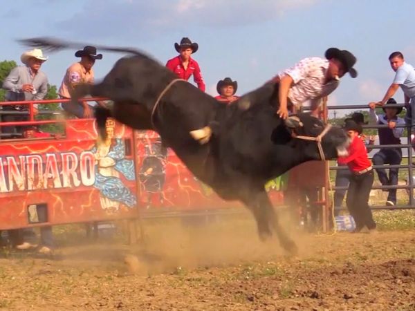 Estrellas del Jaripeo - Hammon Grove Park
