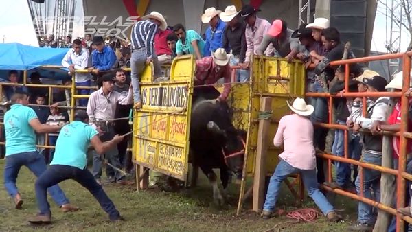 Estrellas del Jaripeo - Nueva Temporada Michoacán
