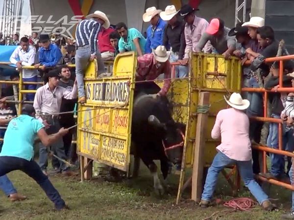 Estrellas del Jaripeo - Nueva Temporada Michoacán
