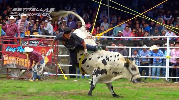 Estrellas del Jaripeo - Temporada agosto Michoacán
