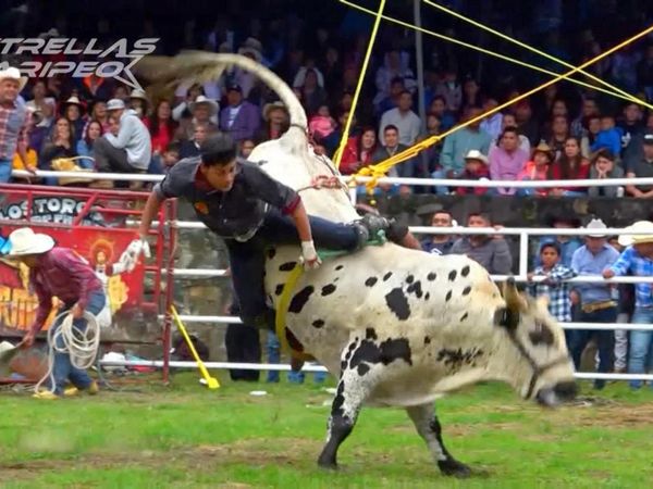 Estrellas del Jaripeo - Temporada agosto Michoacán