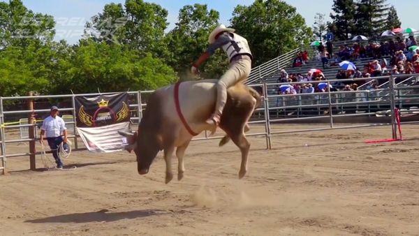 Estrellas del Jaripeo - Fort Worth TX