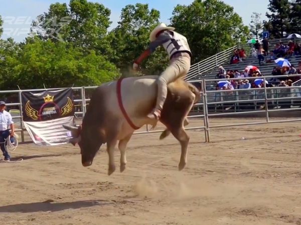 Estrellas del Jaripeo - Fort Worth TX