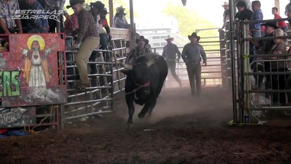 Estrellas del Jaripeo - organton Carolina del Norte