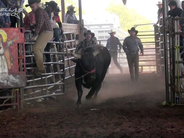 Estrellas del Jaripeo - organton Carolina del Norte