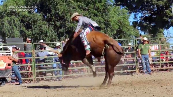 Estrellas del Jaripeo - Estrellas del Jaripeo B56 Wilson NC