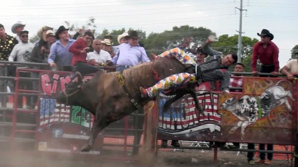 Estrellas del Jaripeo - Galloway