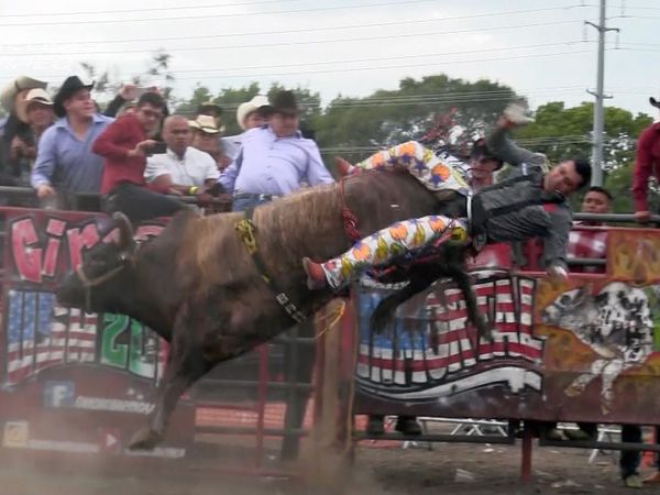 Estrellas del Jaripeo - Galloway
