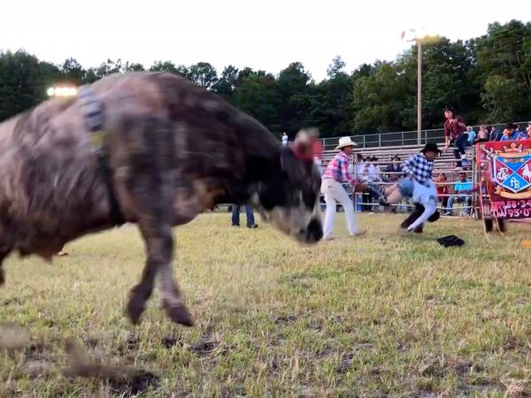 Estrellas del Jaripeo - Berlin New Jersey