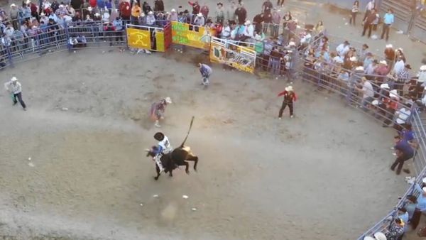 Estrellas del Jaripeo - Inicio de Temporada 
2019