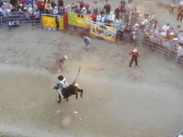 Estrellas del Jaripeo - Inicio de Temporada 
2019