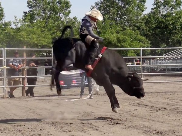 Estrellas del Jaripeo - Fin de Temporada U.S.A.