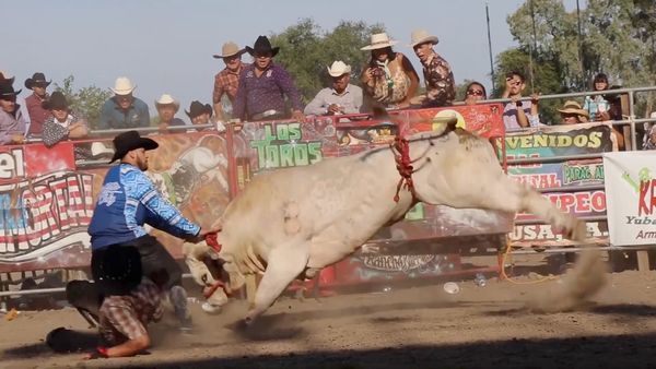 Estrellas del Jaripeo - Comienza Temporada