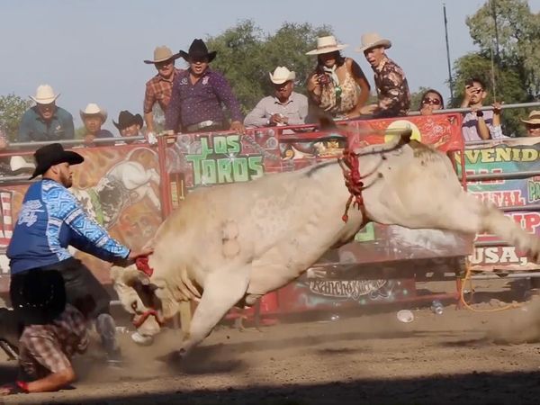 Estrellas del Jaripeo - Comienza Temporada