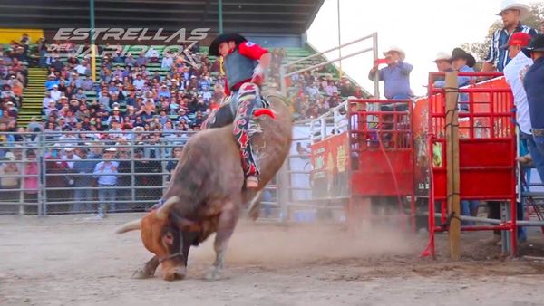 Estrellas del Jaripeo - Fiestas de Coeneo