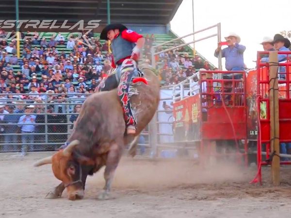 Estrellas del Jaripeo - Fiestas de Coeneo