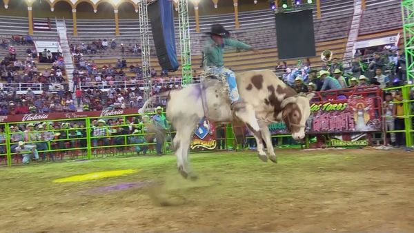 Estrellas del Jaripeo - Monumental de Morelia