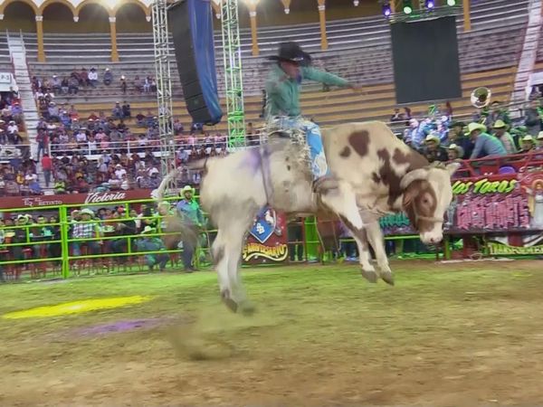 Estrellas del Jaripeo - Monumental de Morelia