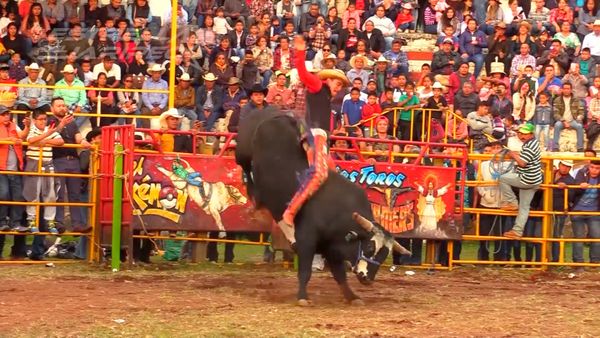 Estrellas del Jaripeo - Tendeparacua