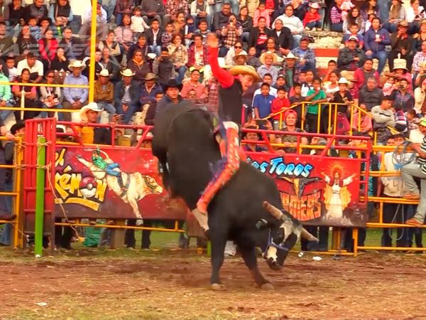 Estrellas del Jaripeo - Tendeparacua