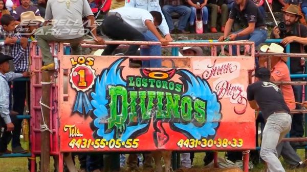 Estrellas del Jaripeo - Torneo Lagunillas