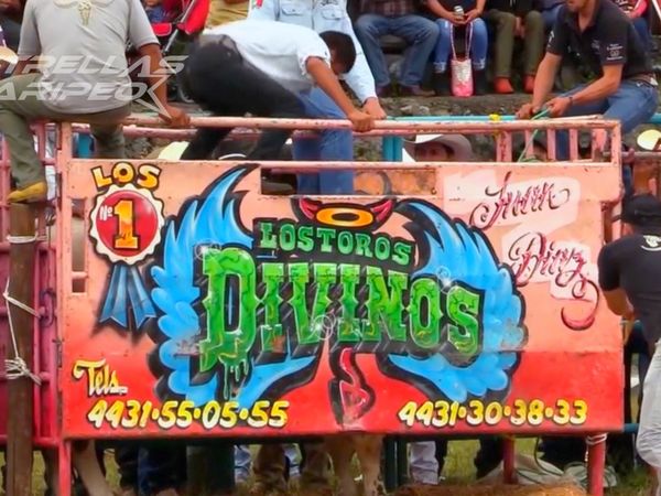 Estrellas del Jaripeo - Torneo Lagunillas