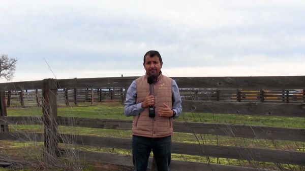 Estrellas del Jaripeo - Monumental de Morelia 2023