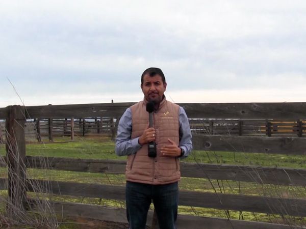 Estrellas del Jaripeo - Monumental de Morelia 2023