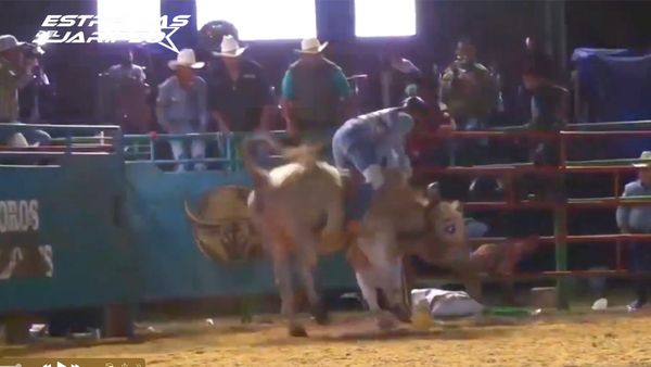 Estrellas del Jaripeo - King City