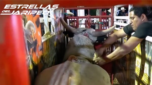 Estrellas del Jaripeo - Fin de Año 2023