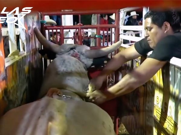 Estrellas del Jaripeo - Fin de Año 2023