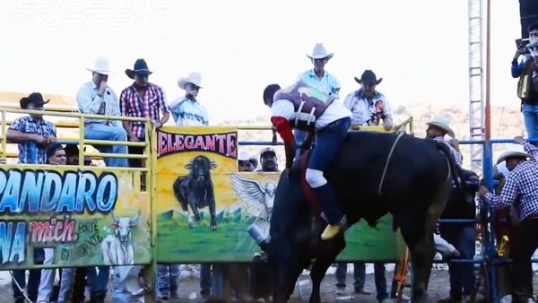 Estrellas del Jaripeo - Indaparapeo