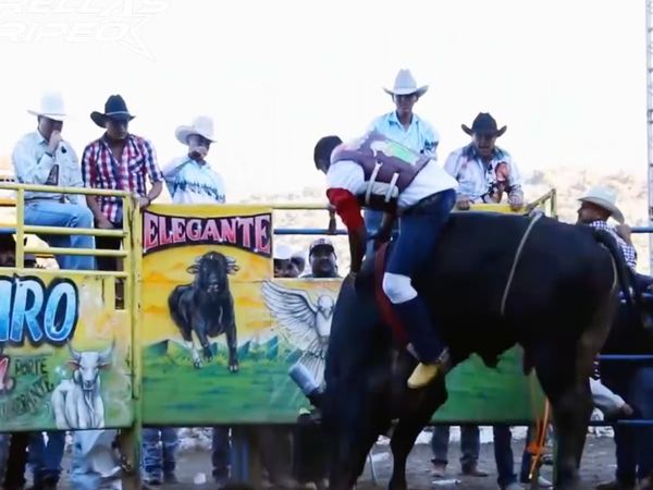 Estrellas del Jaripeo - Indaparapeo