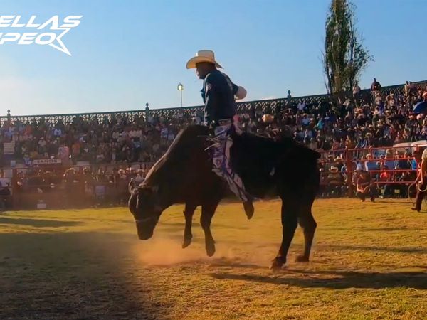 Estrellas del Jaripeo - Los Amoles, Guanajuato