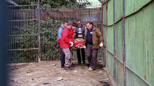 Wild Animal Rescue - Plight of the Lions