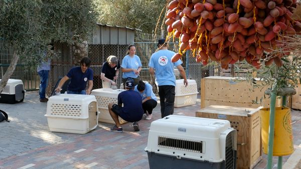 Wild Animal Rescue - Closing the Worst Zoo In The World